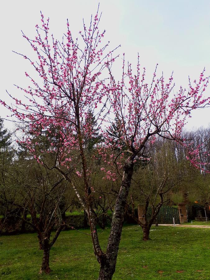 Bed And Breakfast Monticelli Capranica Esterno foto